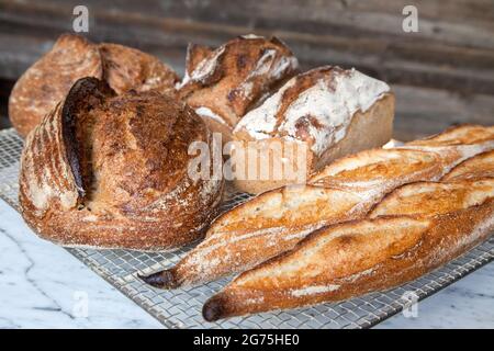 A bunch of freshly baked bread Stock Photo