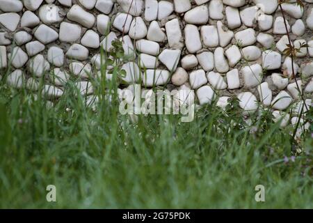Wall cladding made using rounded stones. Stock Photo