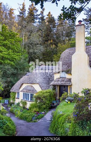 One of the historic thatched cottages in the picturesque village of Selworthy, near Minehead, in Exmoor National Park, Somerset, England. Stock Photo