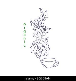 Black art single line on white background. Sketch isolated vector illustration. Outline minimal drawing. Organic coffee plant, bean, cup of drink Stock Vector