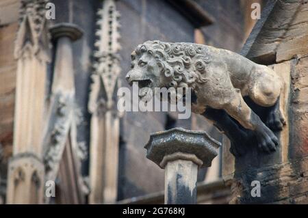 Gargoyle in the form of a lion on the gothic façade of St. Martin's Church the biggest church of Colmar. Stock Photo