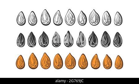 Seed vector set. Art line nuts, black shape, sketch sign. Collection of isolated on white background. Bio food. Organic milk, natural oil. Hand drawn Stock Vector