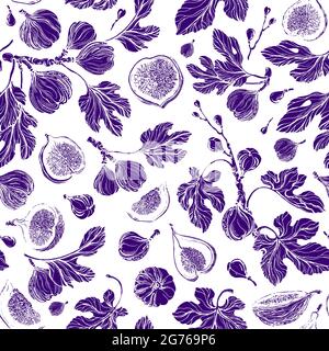 Figs seamless pattern. Vector texture print. Summer plant, fruit, leaves. Botanical organic set on white background. Vintage engraved illustration. Na Stock Vector