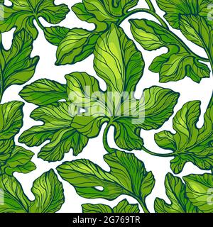 Green leaves seamless pattern. Vector texture foliage. Botanical art hand drawn fresh illustration on white background. Graphic camouflage print. Figs Stock Vector