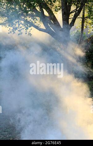 Smoke produced by the burning of pruning remains in Spain Stock Photo