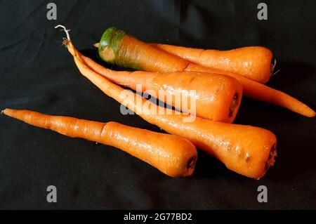 Malang, Indonesia - June 28, 2021 : 5 fresh carrots on a black background Stock Photo