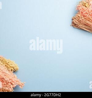 Pink dry flowers frame on blue background. top view, copy space Stock Photo