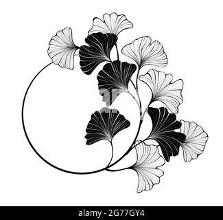 Contour, round banner with silhouette and outline leaves of ginkgo biloba on white background. Stock Vector