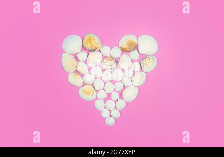 Seashells on a colored background. Heart shape made from sea shells. High quality photo Stock Photo