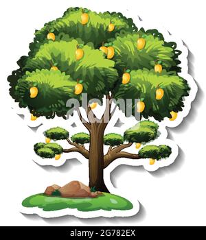 Mango tree sticker on white background illustration Stock Vector