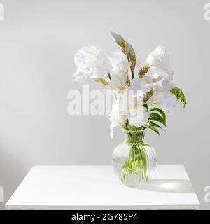 A bouquet of three white irises and a fern in a transparent vase on the table. Stock Photo