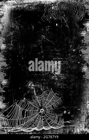 gothic spider web wallpaper gothic spider web wallpaper
