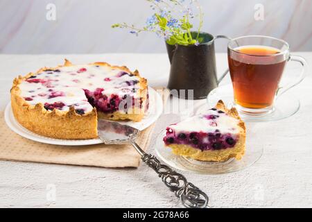Homemade cake with black currants on a bright table. Stock Photo