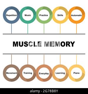 Diagram concept with Muscle Memory text and keywords. EPS 10 isolated on white background Stock Vector