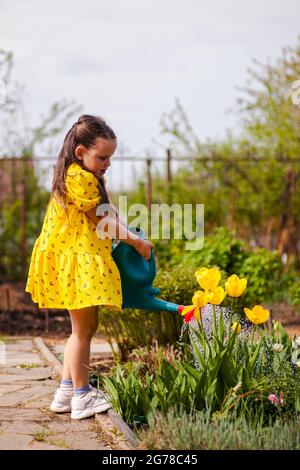 full-length portrait of a girl watering flowers from a garden watering can in the backyard, a little gardener is gardening and helping parents on a Stock Photo