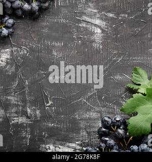 Frame made of Black grapes. Copy space for text or menu on black scuffed background. Black juicy grapes on vintage dark concrete background. Square Stock Photo