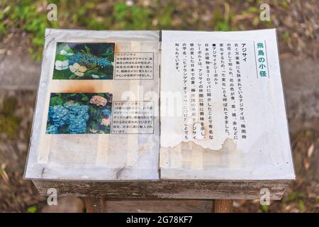 Ajisai Japan Stock Photo Alamy