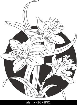 Flower tattoo sketch of daffodils in black and white on Craiyon