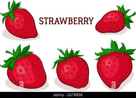 Sweet Fruits, Red Strawberry Berries Isolated on White Background. Vector Stock Vector