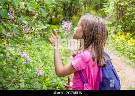 Little girl smells spring flowers , beautiful sunny day in nature. Stock Photo