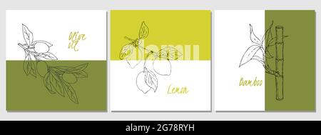 Set of banners lemon olives bamboo, doodling, hand drawing. Background backdrop banner label flyer. Uniform design style. Vector illustration Stock Vector