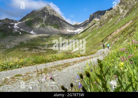 Europe, Austria, Tyrol, Verwall, Paznaun, Galtür, Friedrichshafener Hut, mountain hikers on a forest path in front of the backdrop of the Gaisspitze Stock Photo