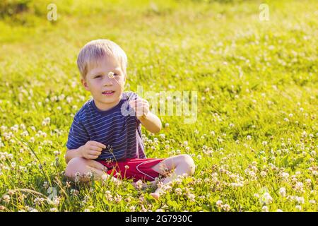 A blond boy sits on a sunny green grass lawn and holds a clover flower in his hands, childhood, joy mother's Day Stock Photo