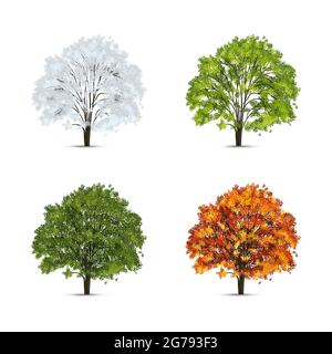 Realistic tree season set with isolated images of trees with green and yellow leaves with snow vector illustration Stock Vector