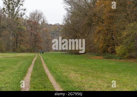 Europe, Germany, Baden-Wuerttemberg, Remstal, Neckarrems, hikers on an open meadow in the Lower Remstal Stock Photo