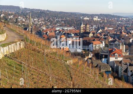 Europe, Germany, Baden-Wuerttemberg, Esslingen, view from Neckarhaldenweg over the vineyards to Esslingen Stock Photo