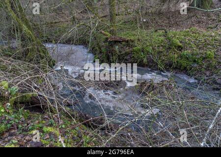 Europe, Germany, Baden-Wuerttemberg, Schönbuch region, winter stream in the Goldersbachtal Stock Photo