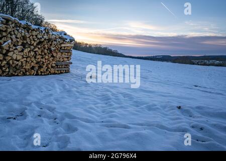 Europe, Germany, Baden-Wuerttemberg, Schönbuch Region, Waldenbuch, Herzog-Jäger-Path, piles of wood on a snow-covered meadow near Waldenbuch Stock Photo
