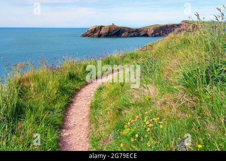Well-trodden section of the Wales Coast Path as it approaches Abereiddy in Pembrokeshire South Wales UK Stock Photo