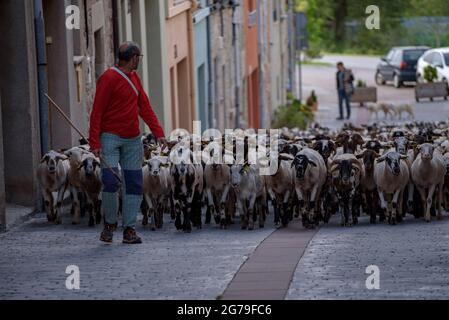 A shepherd and his flock of sheep during the transhumance towards the Pyrenees. Passing inside Santa Eulàlia de Puig-oriol, Lluçanès, Barcelona, Spain Stock Photo
