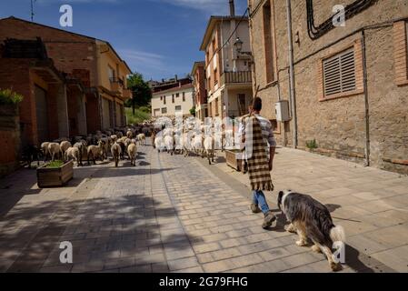 A shepherd and his flock of sheep during the transhumance towards the Pyrenees. Passing through Olost village (Lluçanès, Osona, Barcelona, Catalonia)