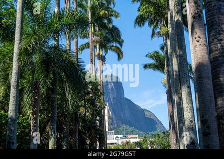 View of the Corcovado Mountain and Christ Redeemer Statue from the Rio de Janeiro Botanical Garden or Jardim Botânico, located at the Jardim Botânico district in the South Zone of Rio de Janeiro.  The Botanical Garden shows the diversity of Brazilian and foreign flora. Stock Photo