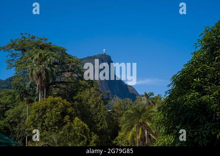 View of the Corcovado Mountain and Christ Redeemer Statue from the Rio de Janeiro Botanical Garden or Jardim Botânico, located at the Jardim Botânico district in the South Zone of Rio de Janeiro.  The Botanical Garden shows the diversity of Brazilian and foreign flora. Stock Photo