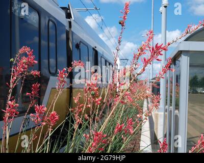 Beauty from North to South on a light rail Stock Photo