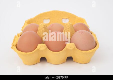 A back of six eggs in a carton Stock Photo