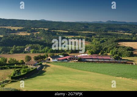 Forests and fields in summer, seen from the viewpoint of the Sant Adjutori hermitage, in Olot, in the Lluçanès region (Barcelona, Catalonia, Spain)