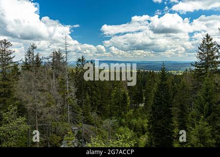 View from Weißmainfels to the coniferous forest in the Fichtelgebirge, Upper Franconia, Bavaria, Germany Stock Photo