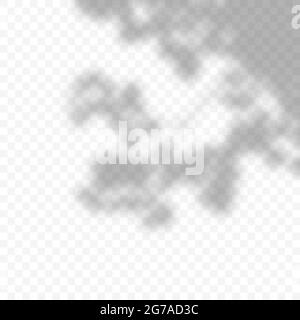 Realistic Vector transparent overlay blured shadow of branch leaves. Stock Vector