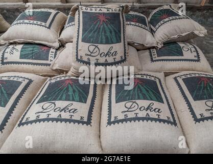 Bags of Costa Rican coffee beans ready for shipment. Stock Photo