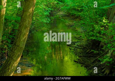 Small narrow river in summer in Germany Stock Photo