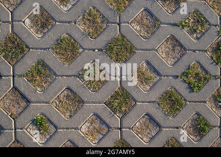 background of light paving stones in the form of rhombuses with sprouted grass, sprouts of life through a stone Stock Photo