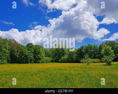 Blue sky with clouds over green landscape Stock Photo