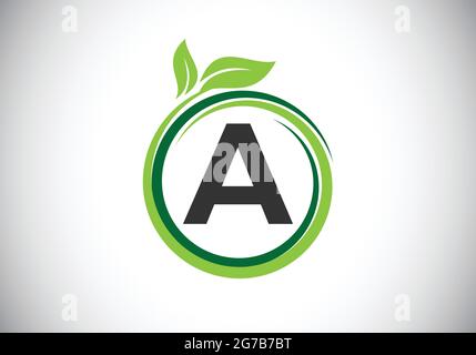 Initial A monogram letter alphabet in a spiral with green leaves. Font emblem. Nature icon sign symbol. Stock Vector