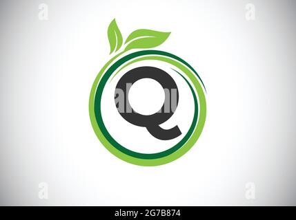 Initial Q monogram letter alphabet in a spiral with green leaves. Font emblem. Nature icon sign symbol. Stock Vector