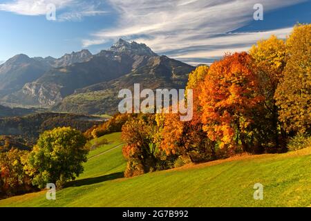Autumn in the Swiss Chablais, behind the peaks of the Dents du Midi, Villars-sur-Ollon, Vaud, Switzerland Stock Photo