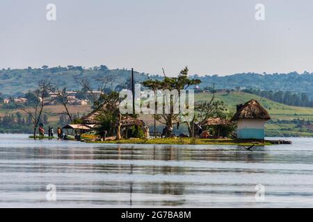 Little island at the source of the Nile, where the Nile starts, Jinja, Uganda, Africa Stock Photo